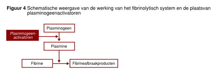 File:Figuur 4 - schematische weergave van het fibrinolytisch systeem.svg
